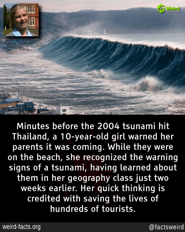 Pochi minuti prima che lo tsunami del 2004 colpisse la Thailandia, una bambina di 10 anni avvertì i suoi genitori dell’imminente pericolo…